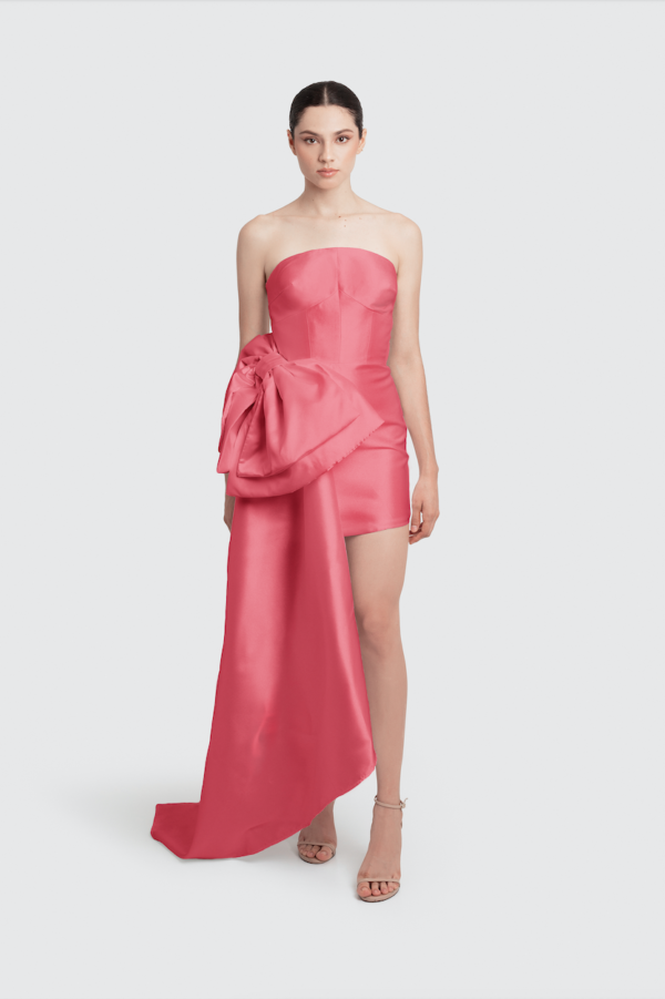 Barbie Dress in Peach