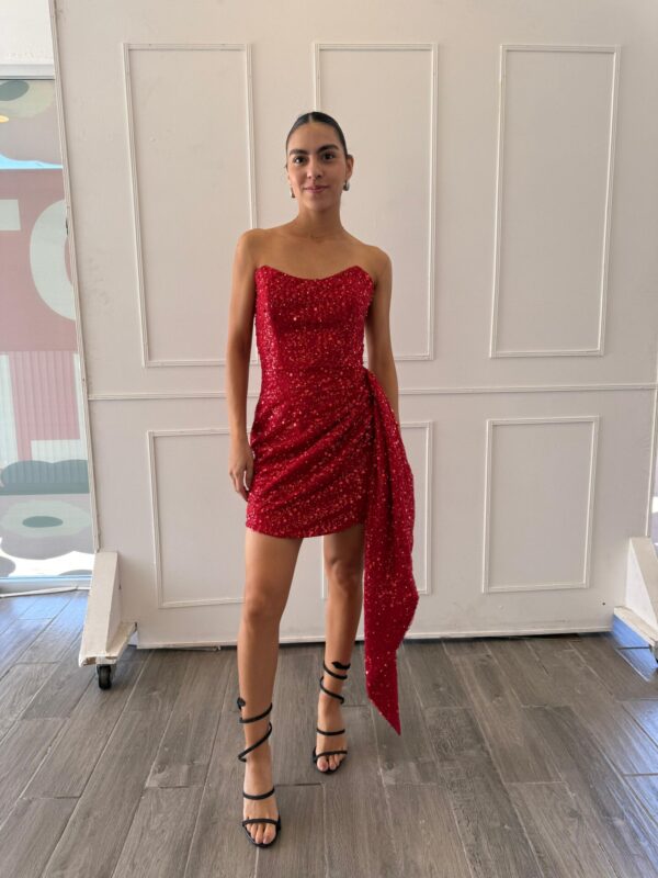 Carrie Dress Holiday