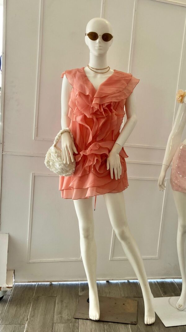 Organza Salmon Dress