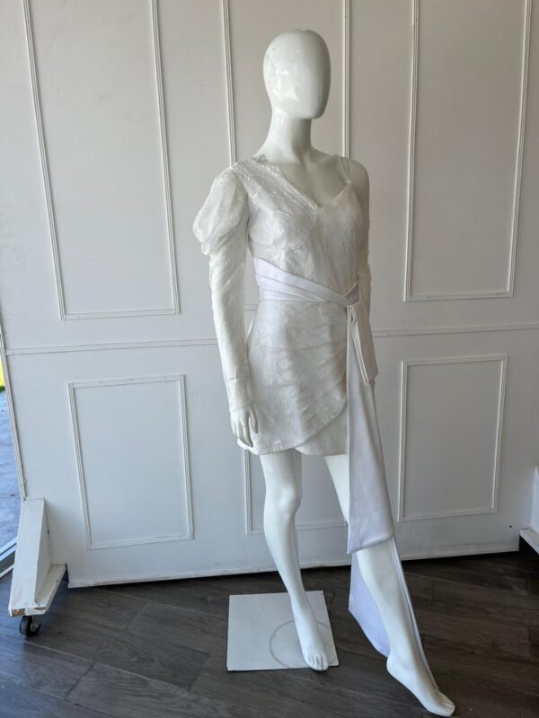 Charlotte Dress - Image 2
